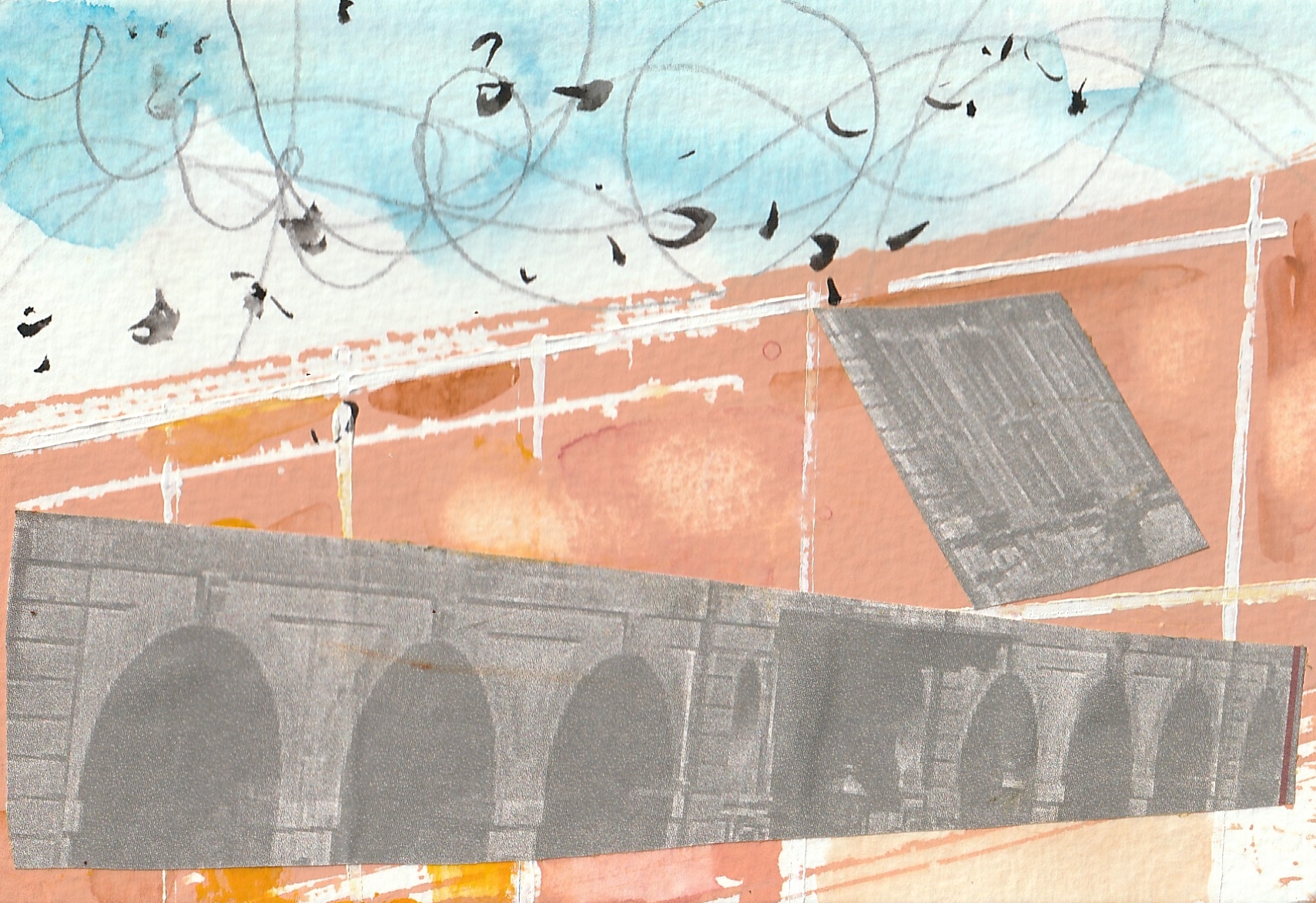Cuneo birds III
